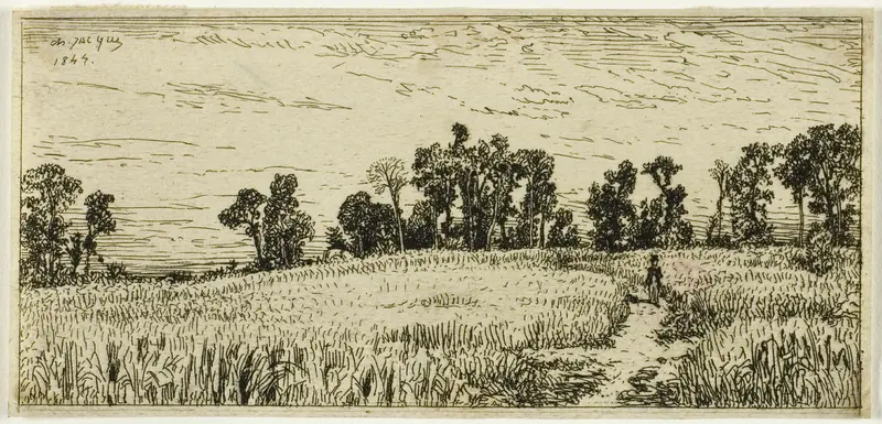 Wheat Field