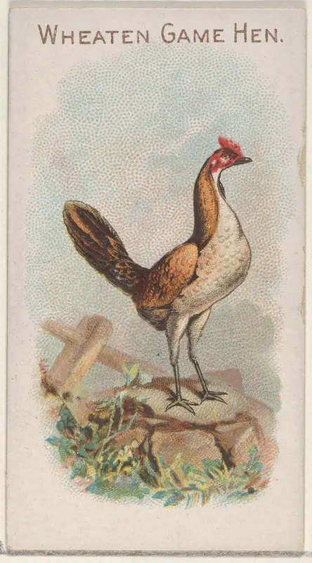 Wheaten Game Hen, from the Prize and Game Chickens series (N20) for Allen & Ginter Cigarettes Wall Art by Allen & Ginter - High-Resolution Digital Print