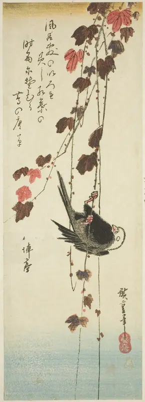 White-headed bird and ivy
