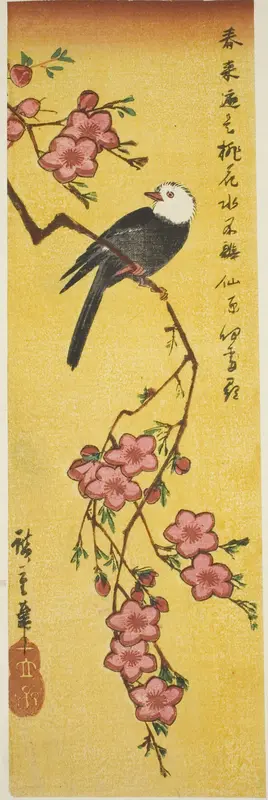 White-headed bird on peach branch