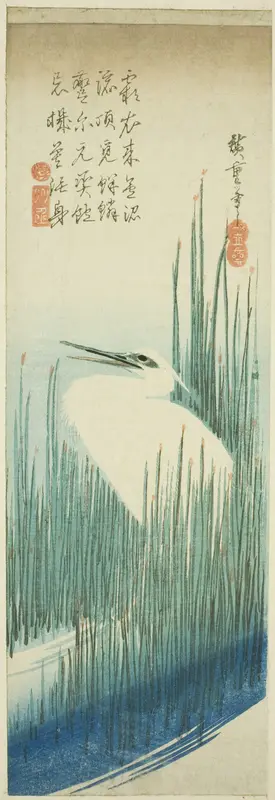 White heron and brushes