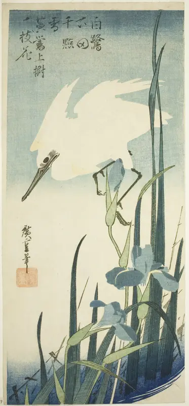 White heron and iris