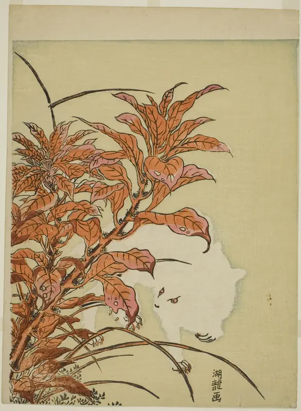 White Rabbit and Amaranth