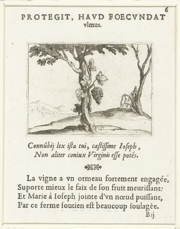 Wijnstok bij een boom Wall Art by Jacques Callot - High-Resolution Digital Print