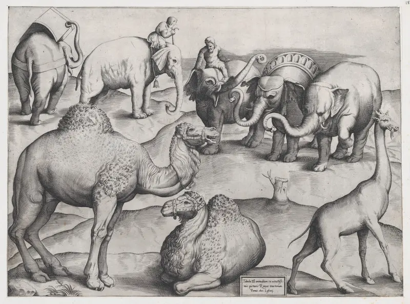 Wild Animals, from antique wall paintings, plate 3, from "Speculum Romanae Magnificentiae" Wall Art by Anonymous, Italian, mid-16th century - High-Resolution Digital Print