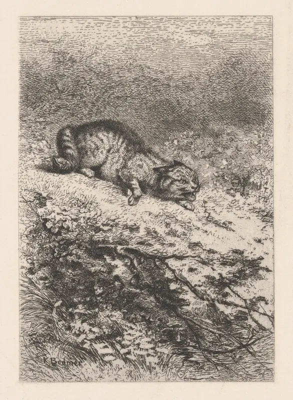 Wild Cat, from "Eaux-Fortes Animaux & Paysages" Wall Art by Karl Bodmer - High-Resolution Digital Print