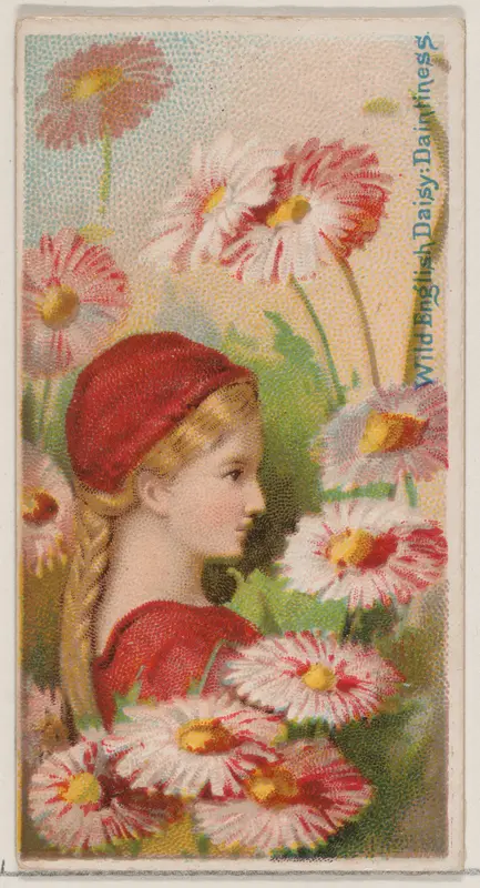 Wild English Daisy: Daintiness, from the series Floral Beauties and Language of Flowers (N75) for Duke brand cigarettes Wall Art by American Tobacco Company - High-Resolution Digital Print