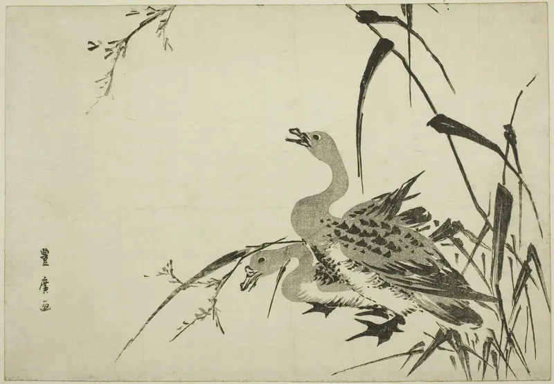 Wild Geese and Reeds