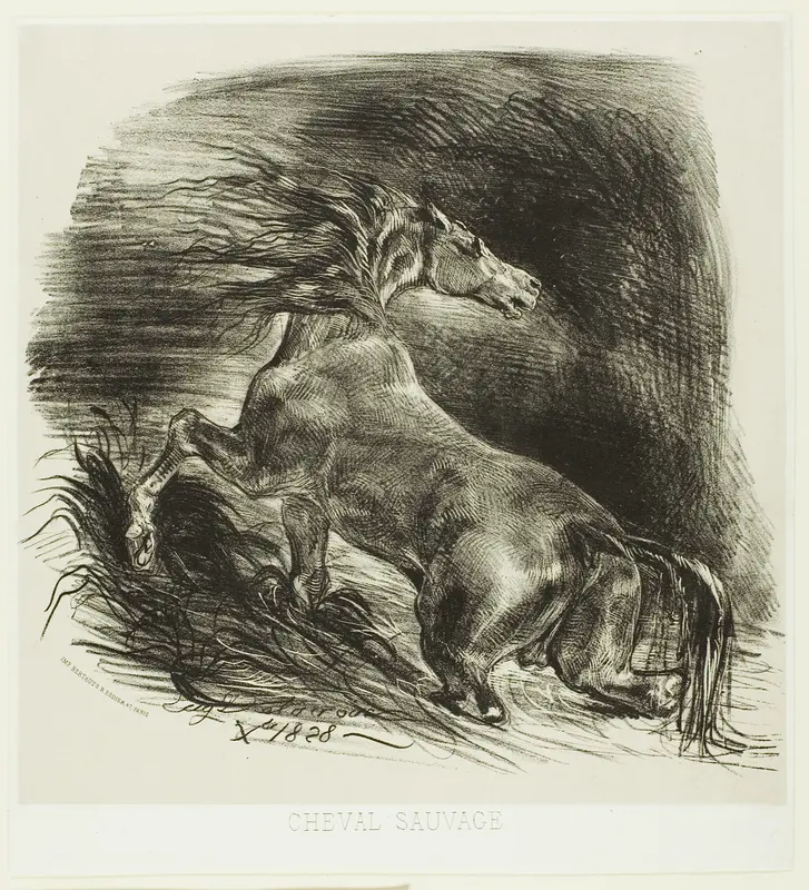 Wild Horse or Frightened Horse Leaving the Water