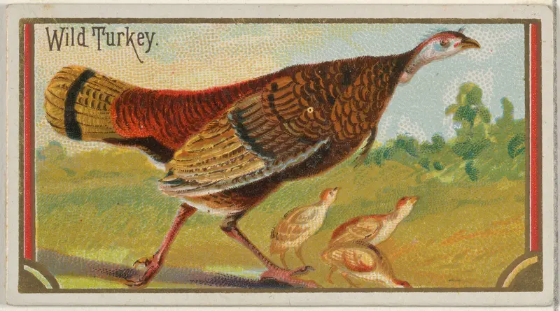 Wild Turkey, from the Game Birds series (N13) for Allen & Ginter Cigarettes Brands Wall Art by Allen & Ginter - High-Resolution Digital Print