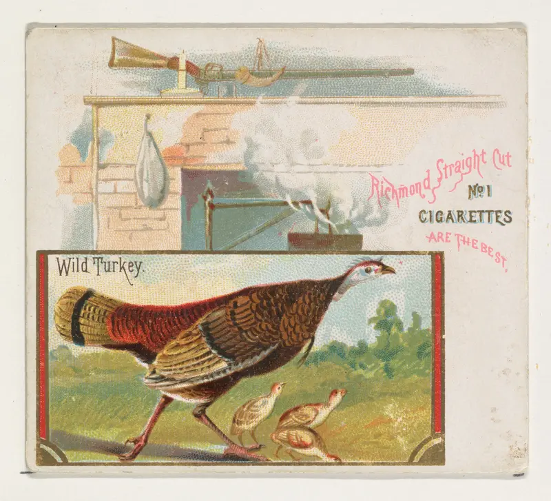 Wild Turkey, from the Game Birds series (N40) for Allen & Ginter Cigarettes Wall Art by Allen & Ginter - High-Resolution Digital Print
