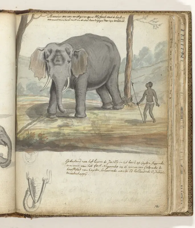 Wilde olifant tussen bomen gebonden Wall Art by Jan Brandes - High-Resolution Digital Print