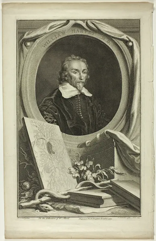 William Harvey, M.D. Wall Art by Jacobus Houbraken - High-Resolution Digital Print