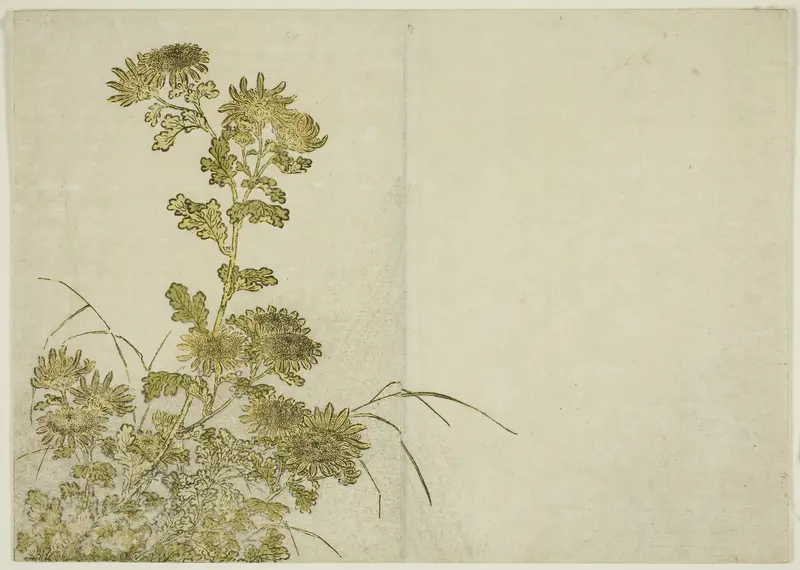 Winter Flowers: Chrysanthemums, from the book "Mirror of Beautiful Women of the Pleasure Quarters (Seiro bijin awase sugata kagami)," vol. 1