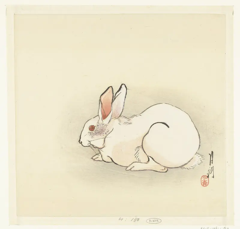 Wit konijn Wall Art by Unknown - High-Resolution Digital Print
