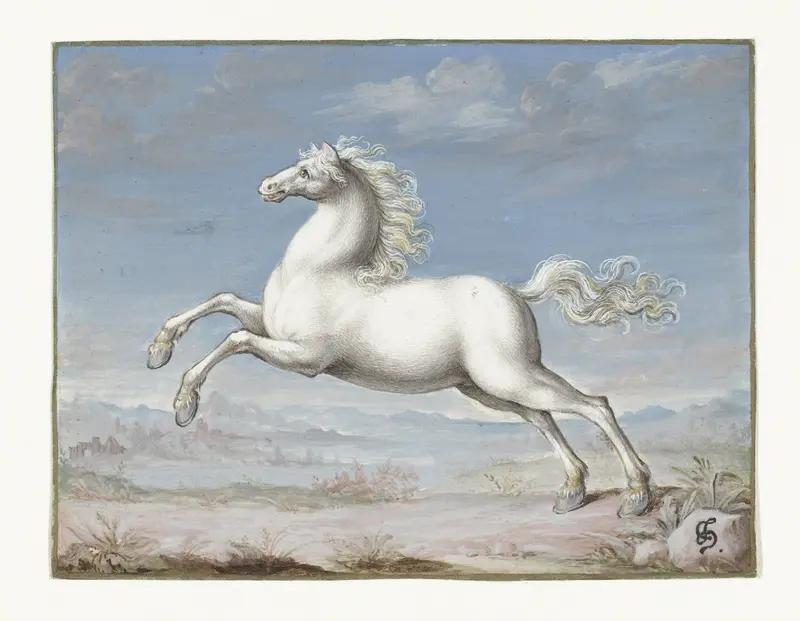 Wit paard Wall Art by Joris Hoefnagel - High-Resolution Digital Print