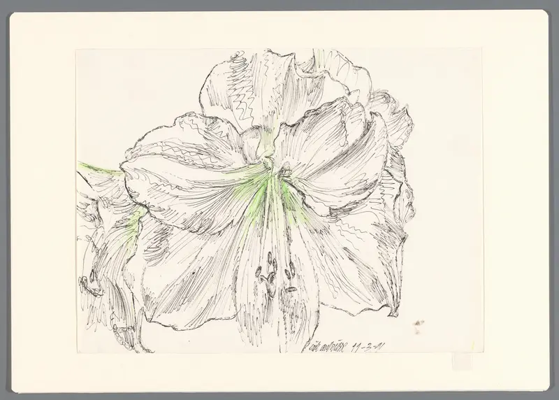Witte Amaryllis 1 Wall Art by Erik Andriesse - High-Resolution Digital Print