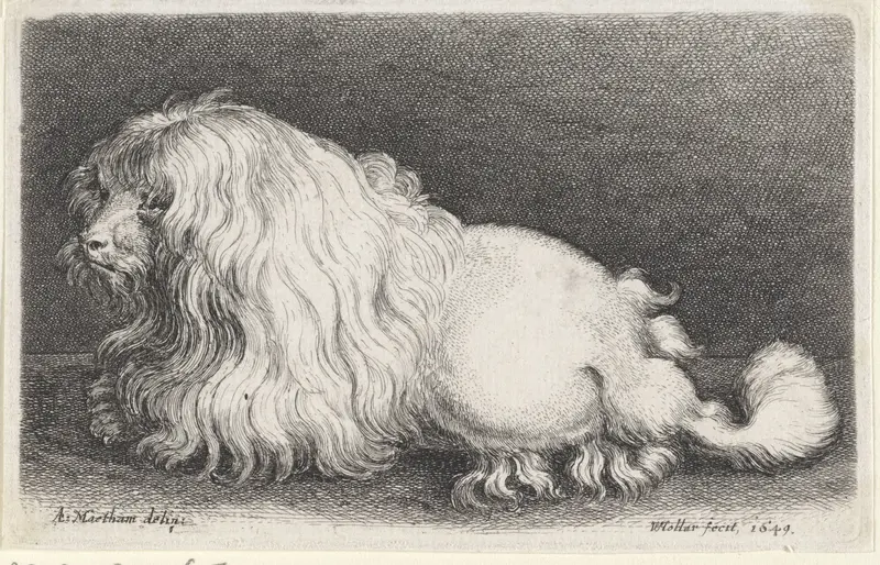 Witte hond Wall Art by Unknown - High-Resolution Digital Print