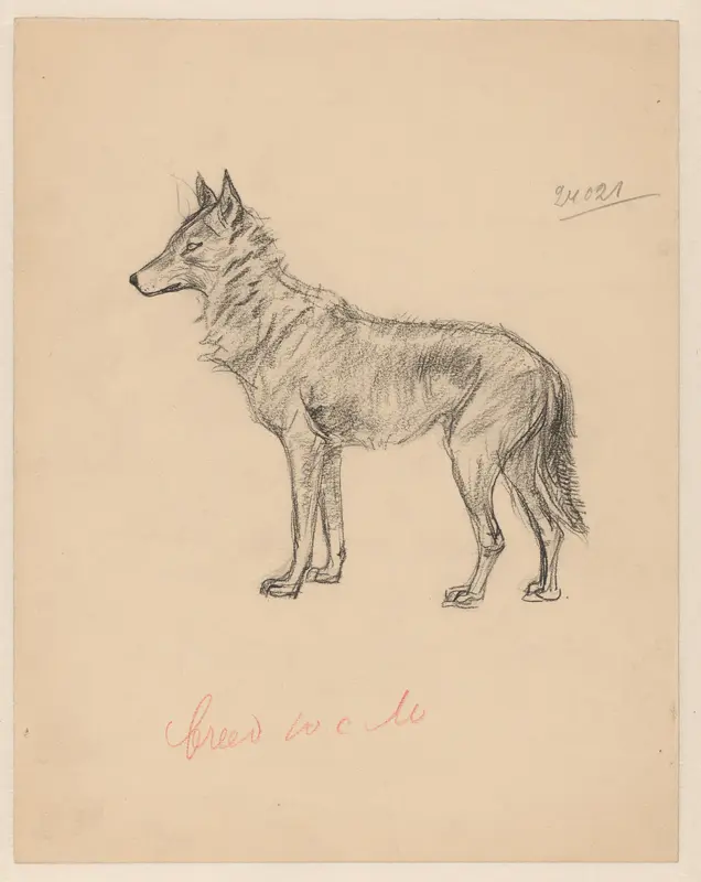 Wolf Wall Art by Willem Vaarzon Morel - High-Resolution Digital Print