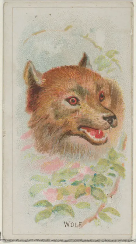 Wolf, from the Wild Animals of the World series (N25) for Allen & Ginter Cigarettes Wall Art by Allen & Ginter - High-Resolution Digital Print