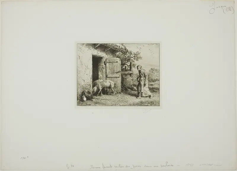 Woman Bringing Her Pigs Back Home