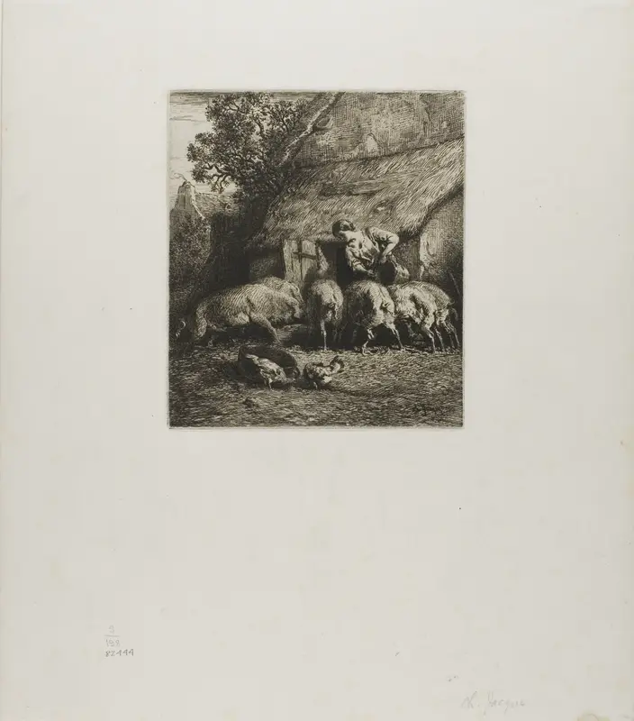 Woman Feeding Six Pigs