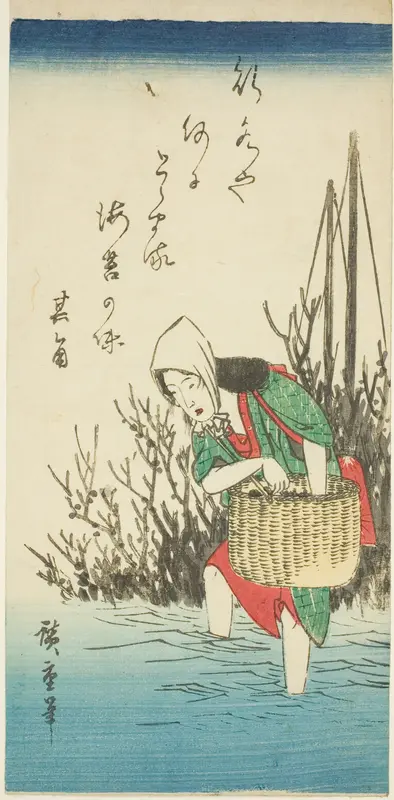 Woman gathering seaweed