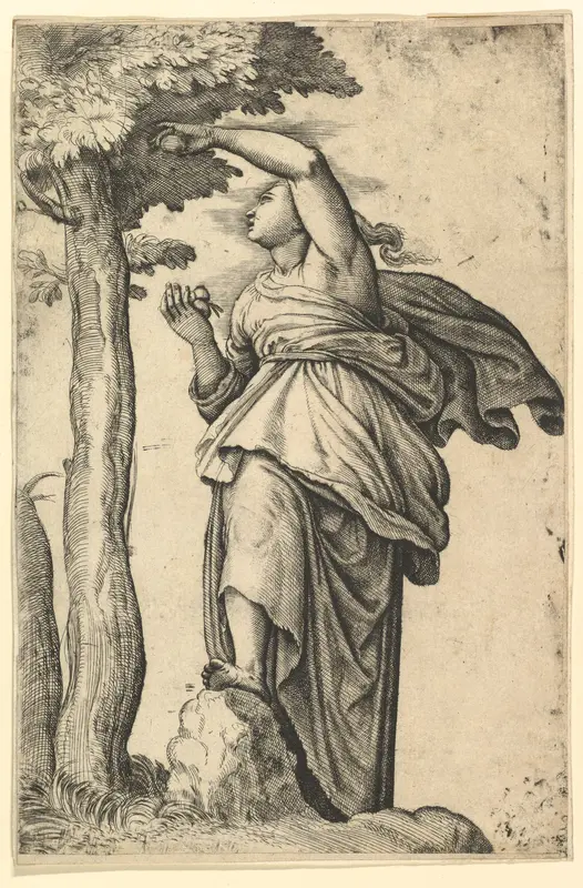 Woman in Roman Costume Picking Fruit from a Tree Wall Art by Battista Franco - High-Resolution Digital Print