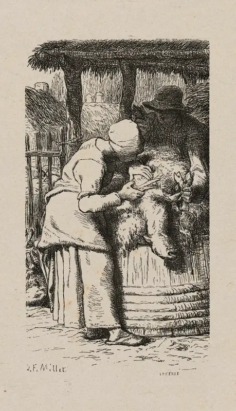 Woman Shearing Sheep Wall Art by Jacques Adrien Lavieille - High-Resolution Digital Print