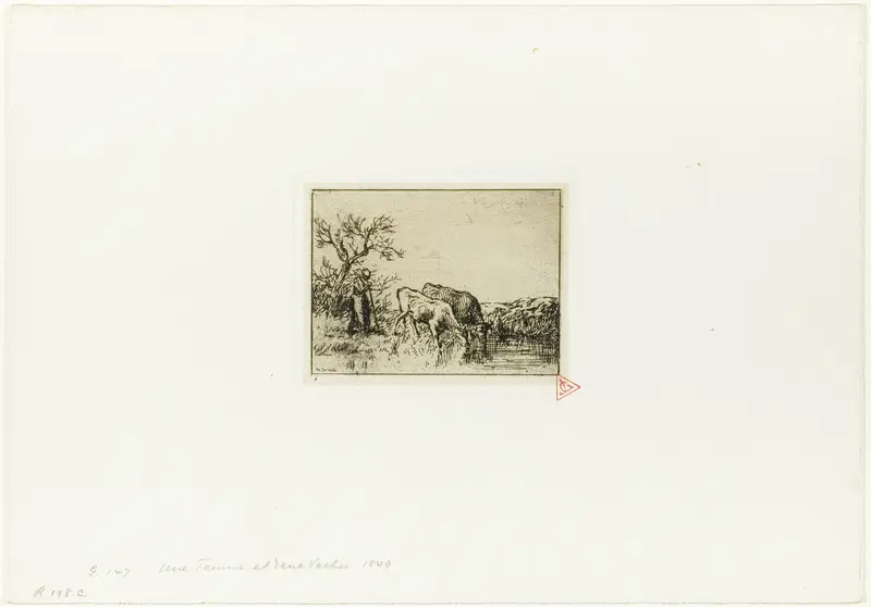 Woman Tending Two Cows