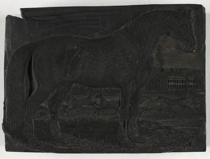 Woodblock for The Black Horse, from a General History of Quadrupeds Wall Art by Thomas Bewick - High-Resolution Digital Print
