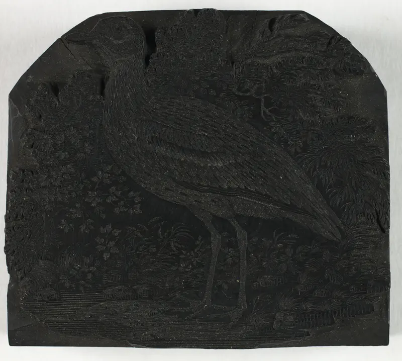 Woodblock for The Great Plover, from A History of British Birds Wall Art by Thomas Bewick - High-Resolution Digital Print