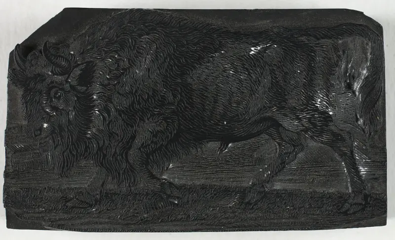 Woodblock for The Urus or Wild Bull, from A General History of Quadrupeds Wall Art by Thomas Bewick - High-Resolution Digital Print