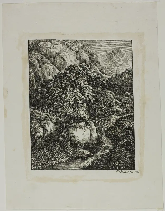 Wooded Mountain Landscape with a Small Waterfall and Pathway