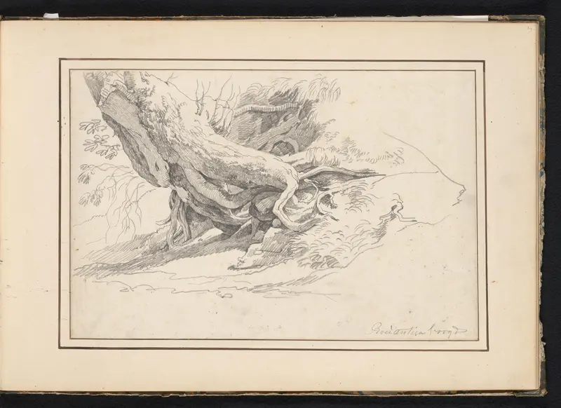 Wortels van een boom te Roccantica Wall Art by Unknown - High-Resolution Digital Print