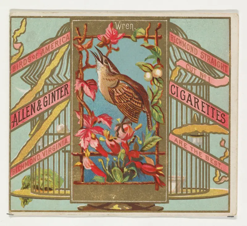 Wren, from the Birds of America series (N37) for Allen & Ginter Cigarettes Wall Art by Allen & Ginter - High-Resolution Digital Print