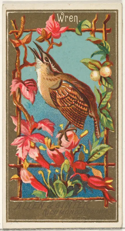 Wren, from the Birds of America series (N4) for Allen & Ginter Cigarettes Brands Wall Art by Allen & Ginter - High-Resolution Digital Print