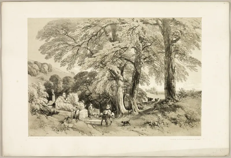 Wych Elm, from The Park and the Forest Wall Art by James Duffield Harding - High-Resolution Digital Print