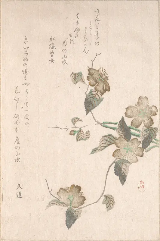 Yamabuki Flowers (kerria japonica)