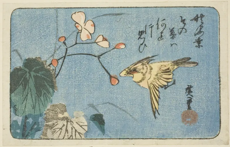 Yellow bird and begonia