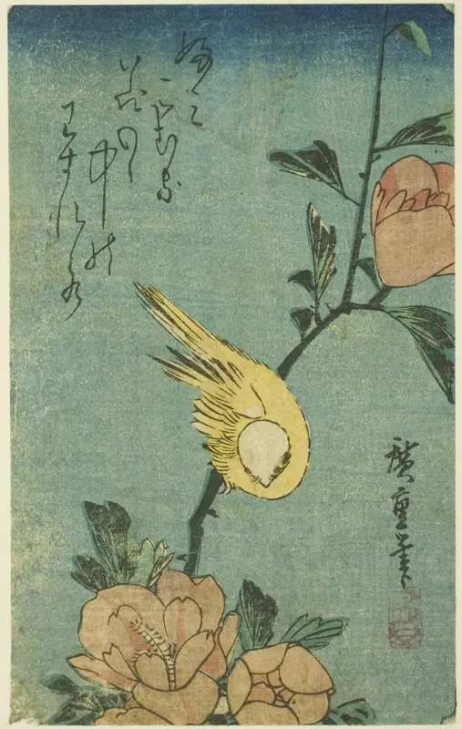 Yellow bird and hibiscus