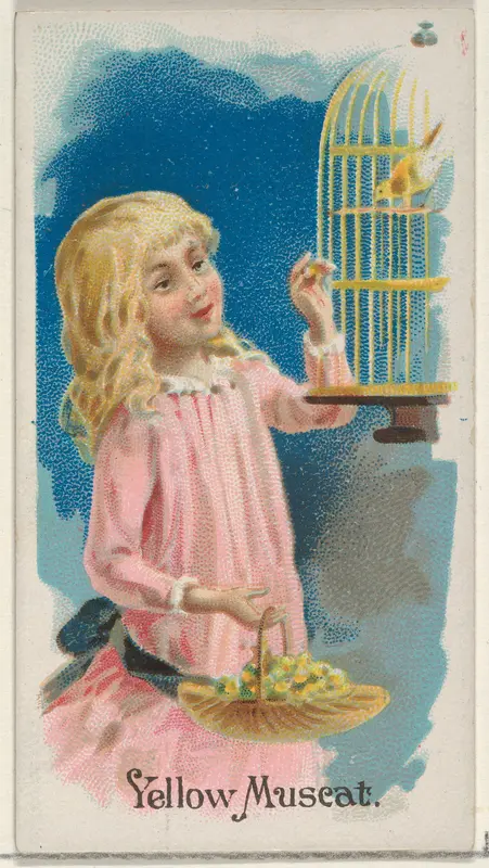 Yellow Muscat, from the Fruits series (N12) for Allen & Ginter Cigarettes Brands Wall Art by Allen & Ginter - High-Resolution Digital Print