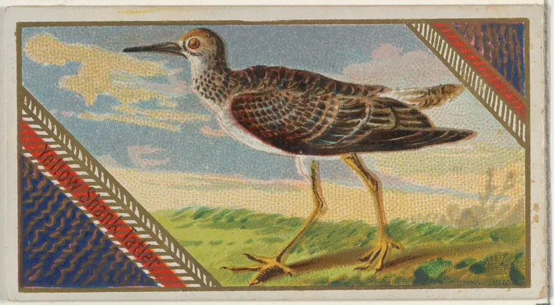 Yellow Shank Tatien, from the Game Birds series (N13) for Allen & Ginter Cigarettes Brands Wall Art by Allen & Ginter - High-Resolution Digital Print