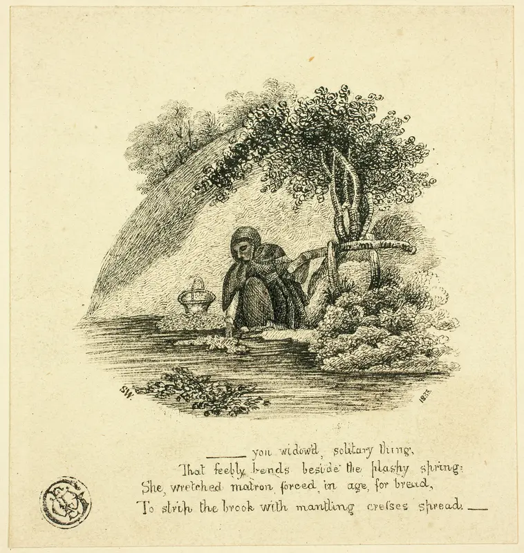 ...You Widow'd Solitary Thing Wall Art by Thomas Bewick - High-Resolution Digital Print