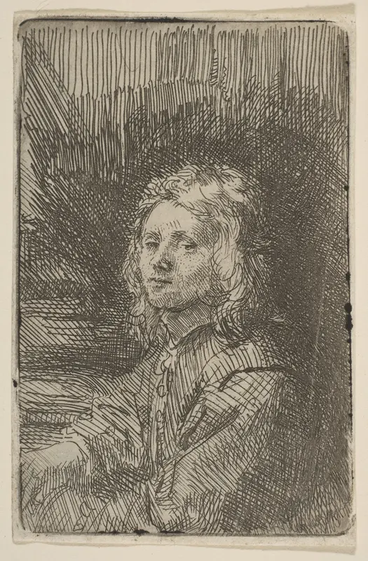 Young Man, Half-Length Wall Art by Rembrandt (Rembrandt van Rijn) - High-Resolution Digital Print