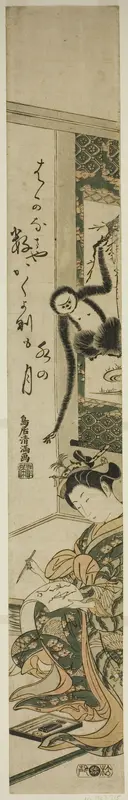 Young woman and gibbon