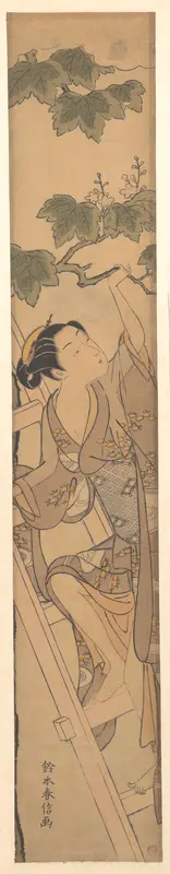 Young Woman Climbing a Ladder