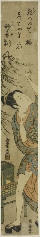 Young woman releasing a bird