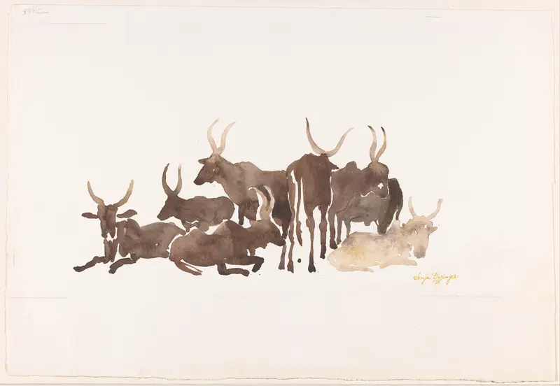 Zeboes in Nigeria Wall Art by Unknown - High-Resolution Digital Print