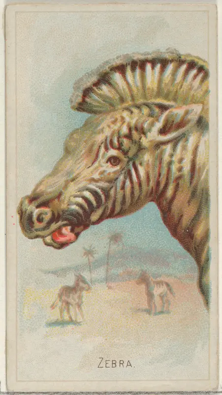 Zebra, from the Wild Animals of the World series (N25) for Allen & Ginter Cigarettes Wall Art by Allen & Ginter - High-Resolution Digital Print